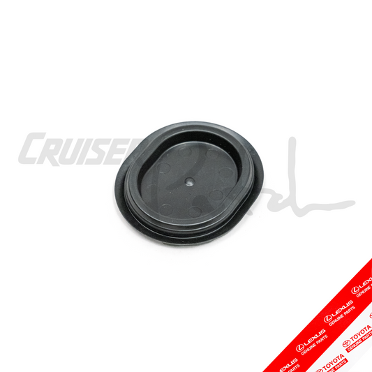 OEM 100 Series Oval Plastic Body Mount Floor Hole Cover