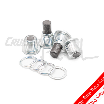 Magnetic Differential Plug Kit (10mm Allen)